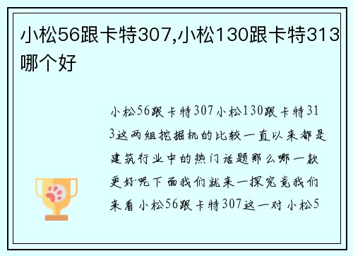 小松56跟卡特307,小松130跟卡特313哪个好